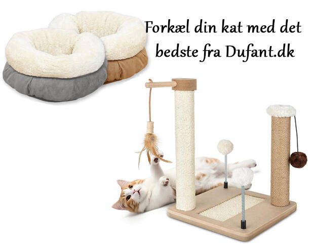 Lækkert udstyr til din Kat Lækkert udstyr til din Kat